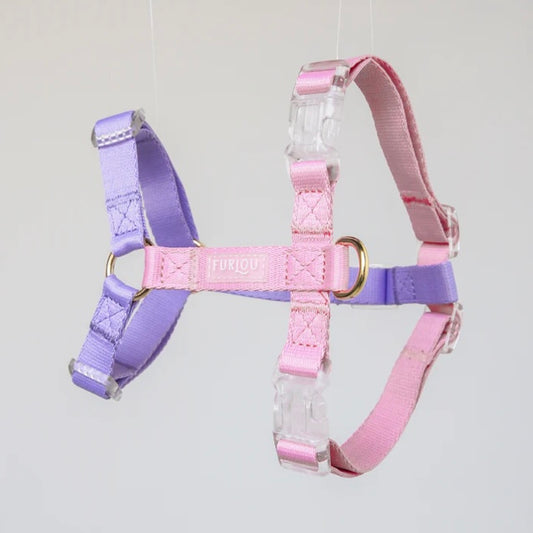 Lavender and Rose Dog Harness