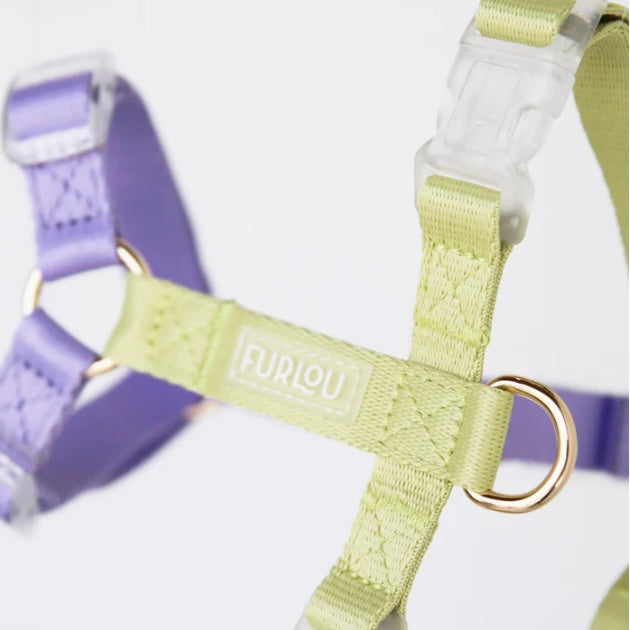 Lavender and Lime Dog Harness