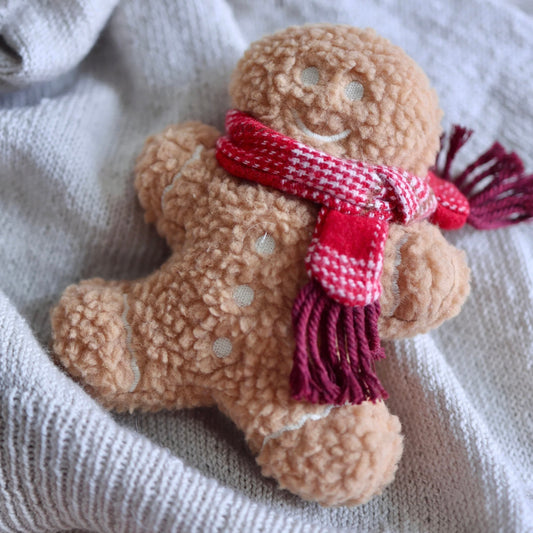 Mister Gingerbread