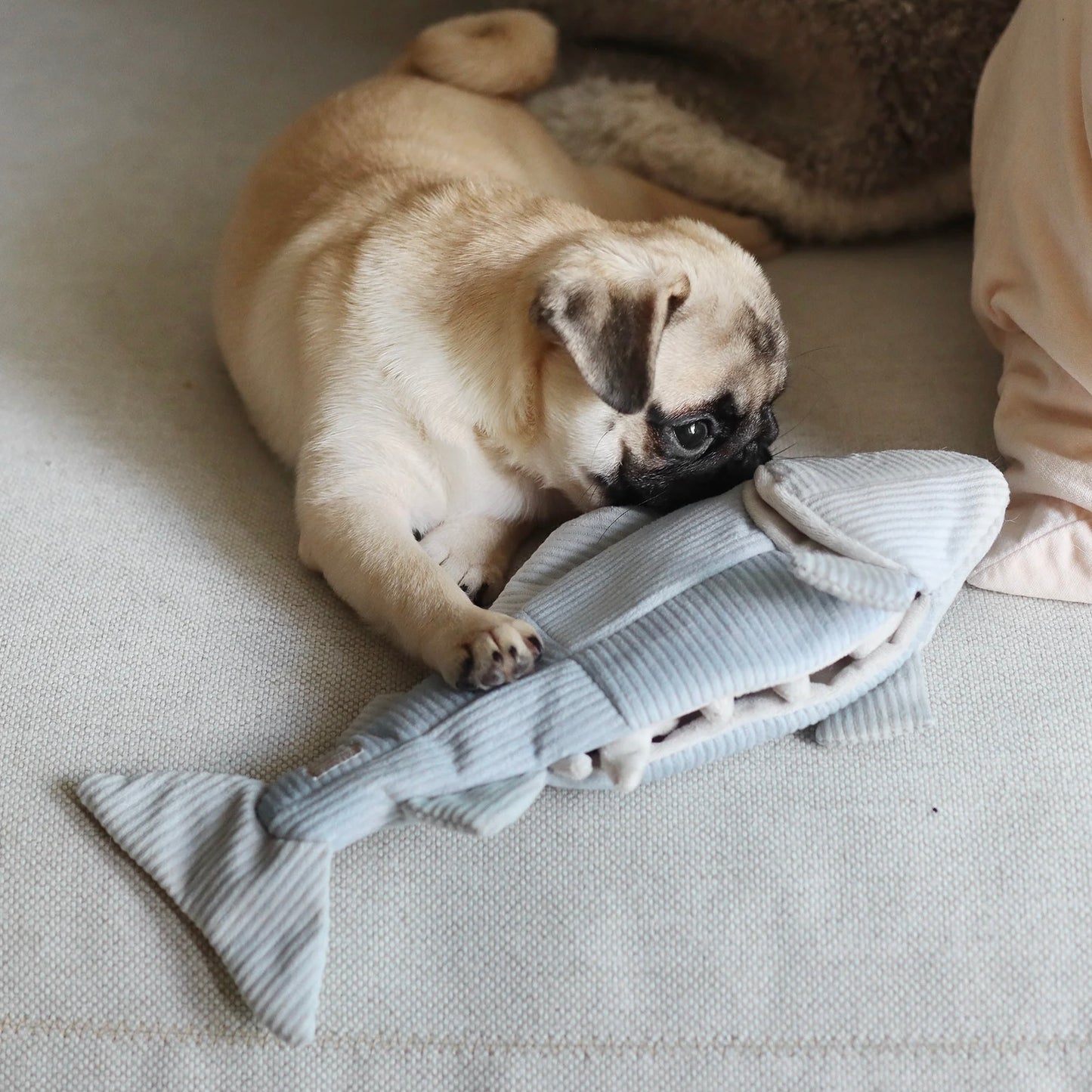 Trout snuffle toy