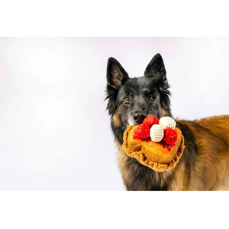 Thick 'N Fluffy French Toast Dog Toy