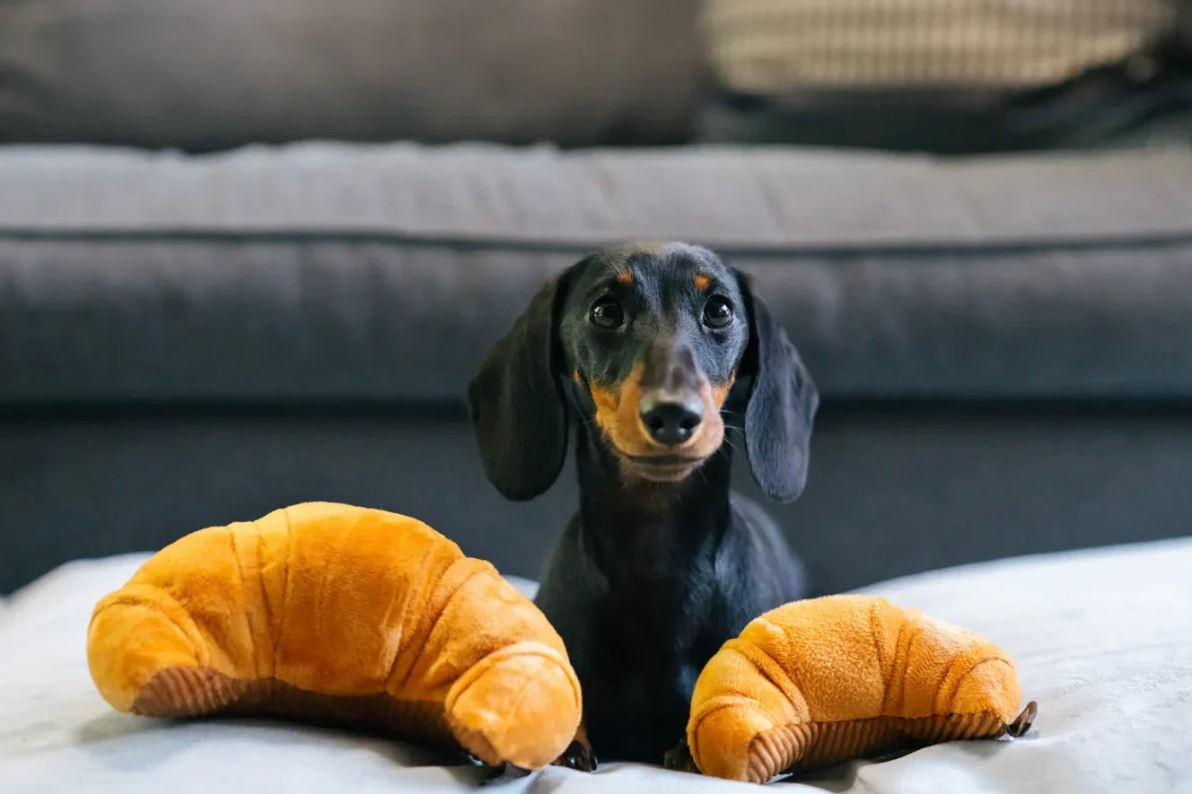 Dog Toy Croissant
