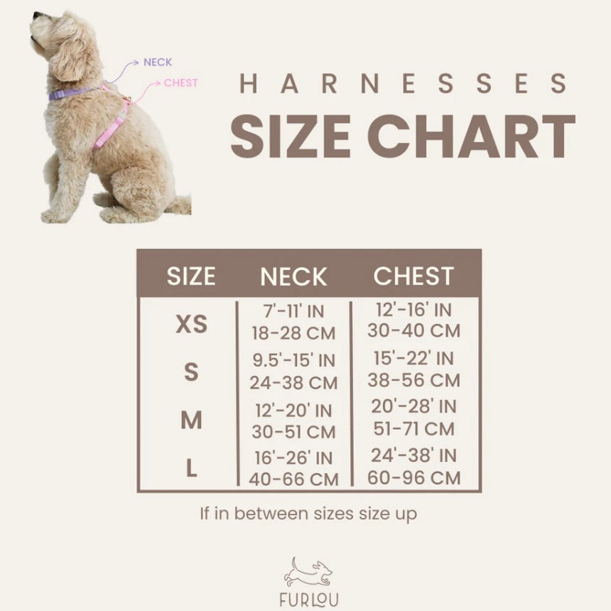 Sherpa Dog Harness rose