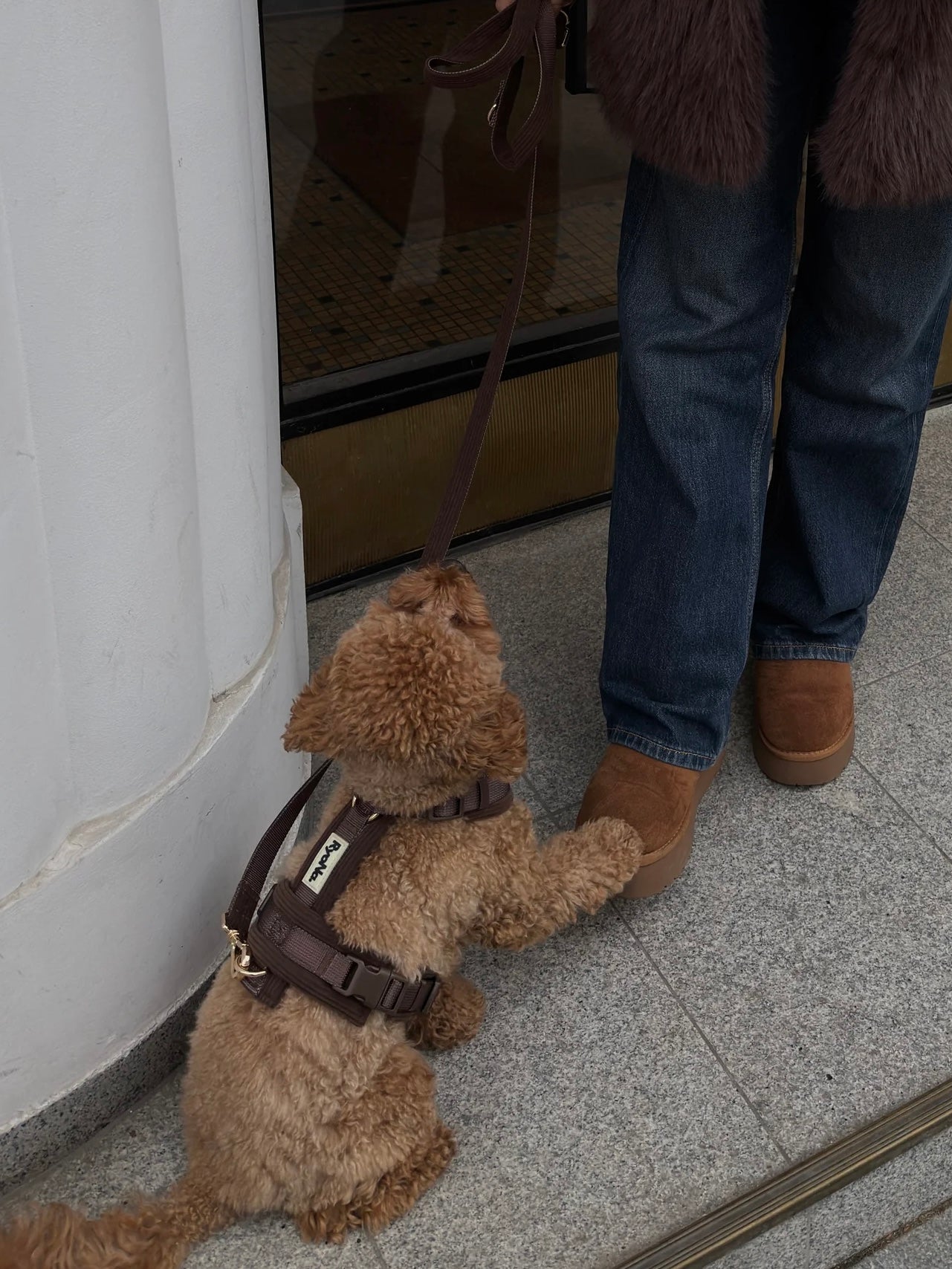 Soft Ribbed Velour Y-Design Dog Harness Brown