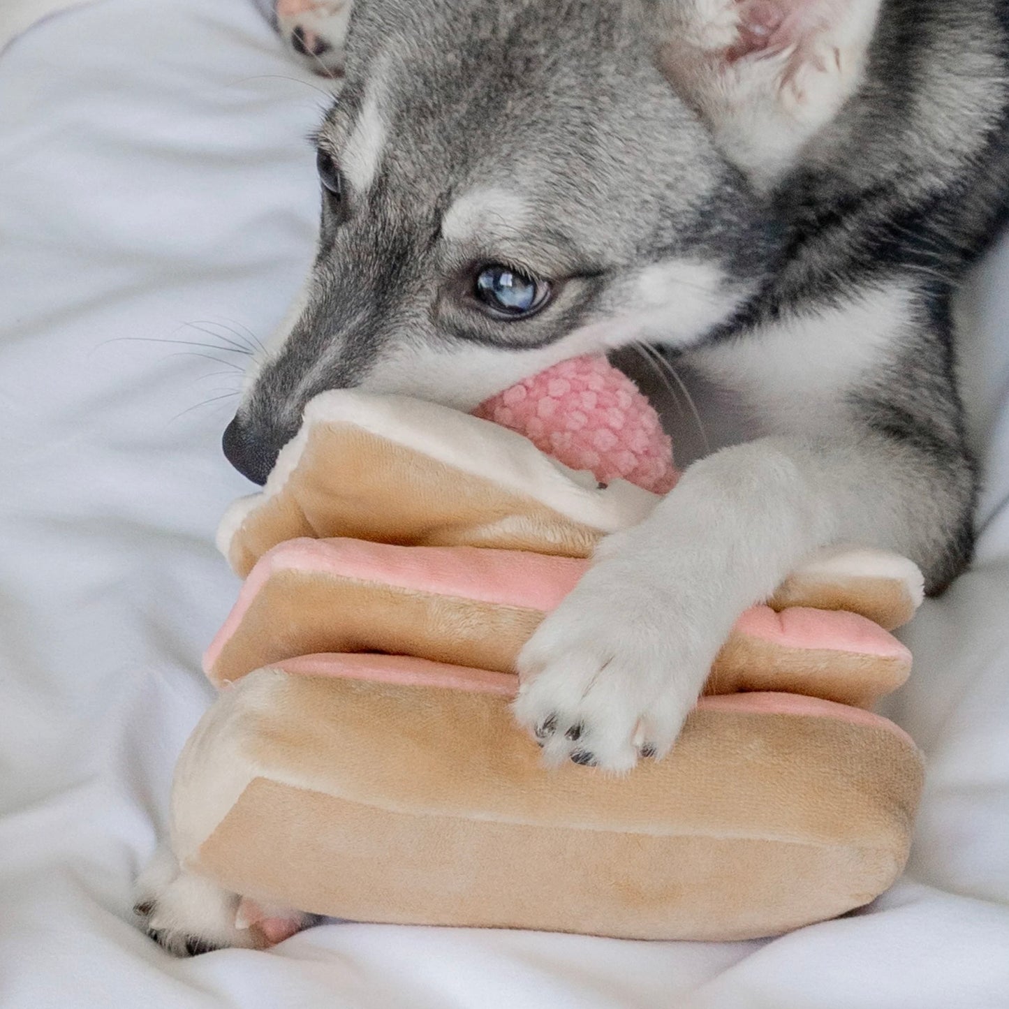 Strawberry Mille-Feuille Nosework Toy