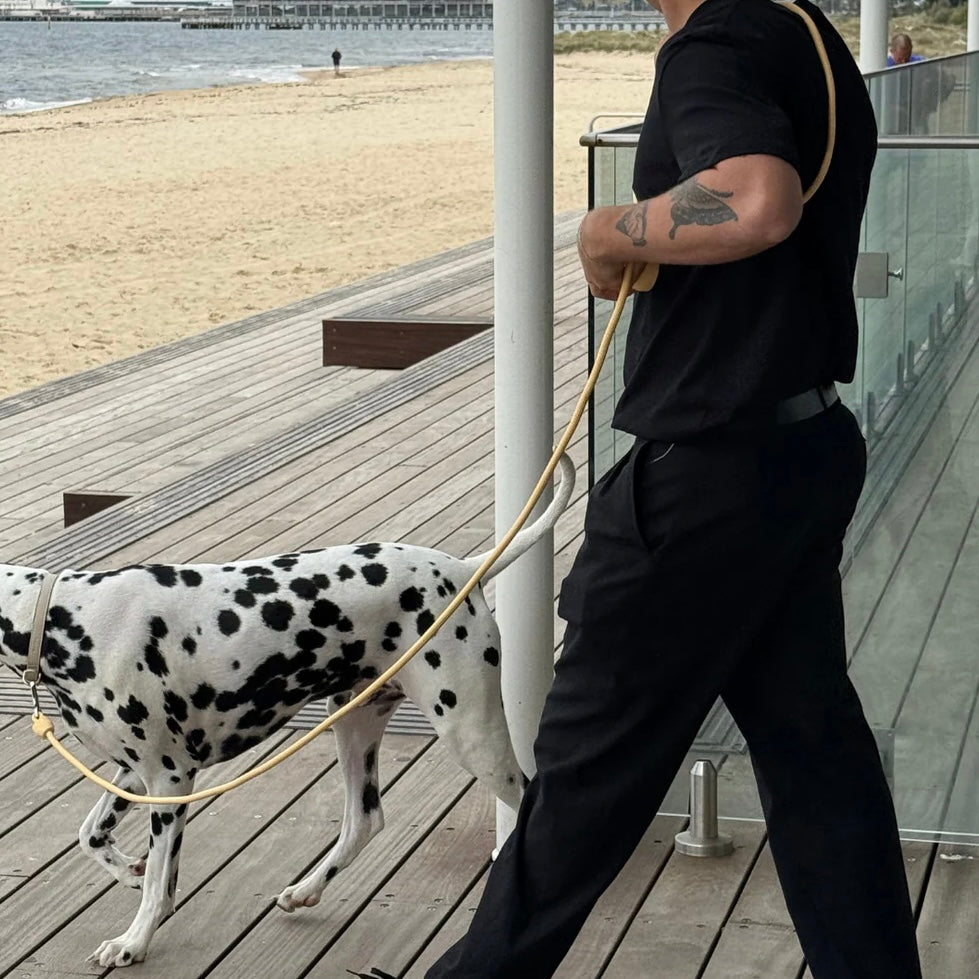 Hands Free Lead Butter