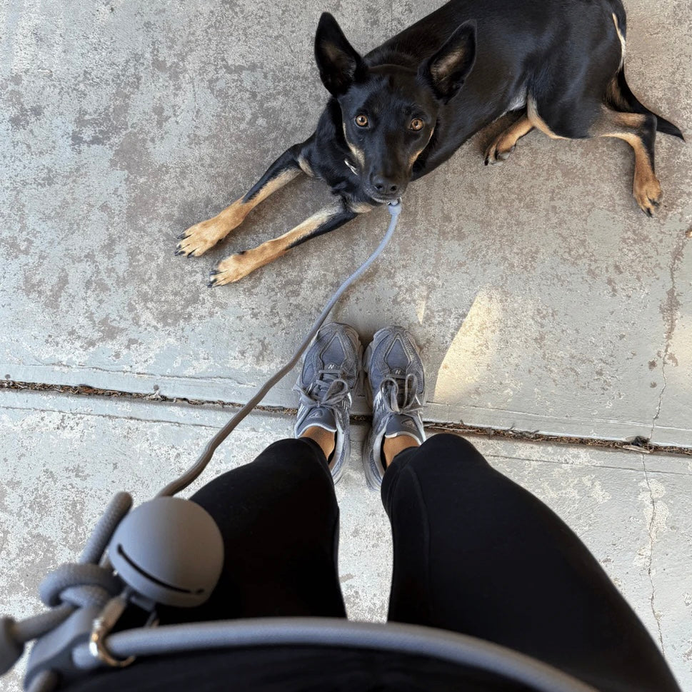 Treat Pouch slate
