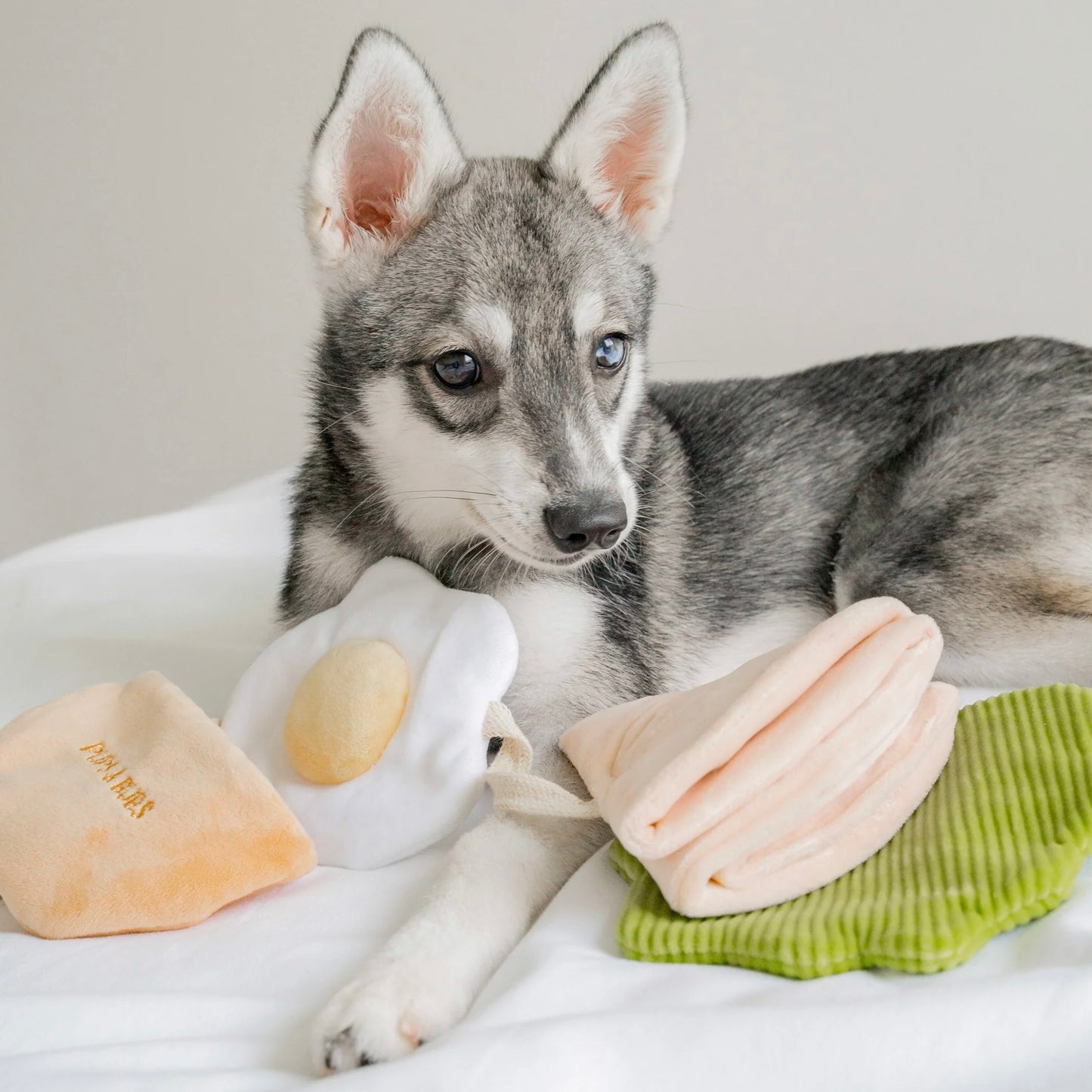 Pita Pocket Nosework Toy