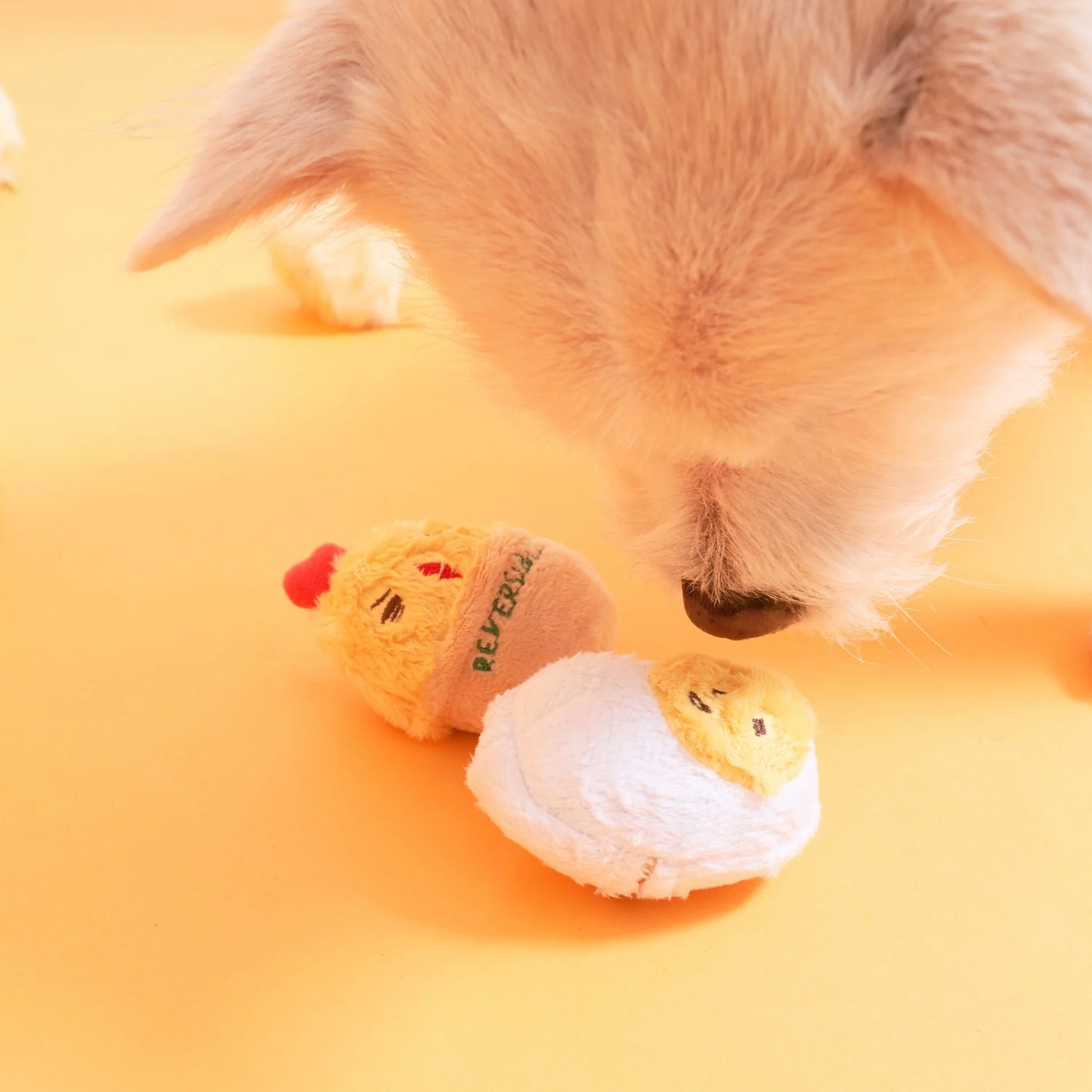 AAA+ Egg Nosework Toy