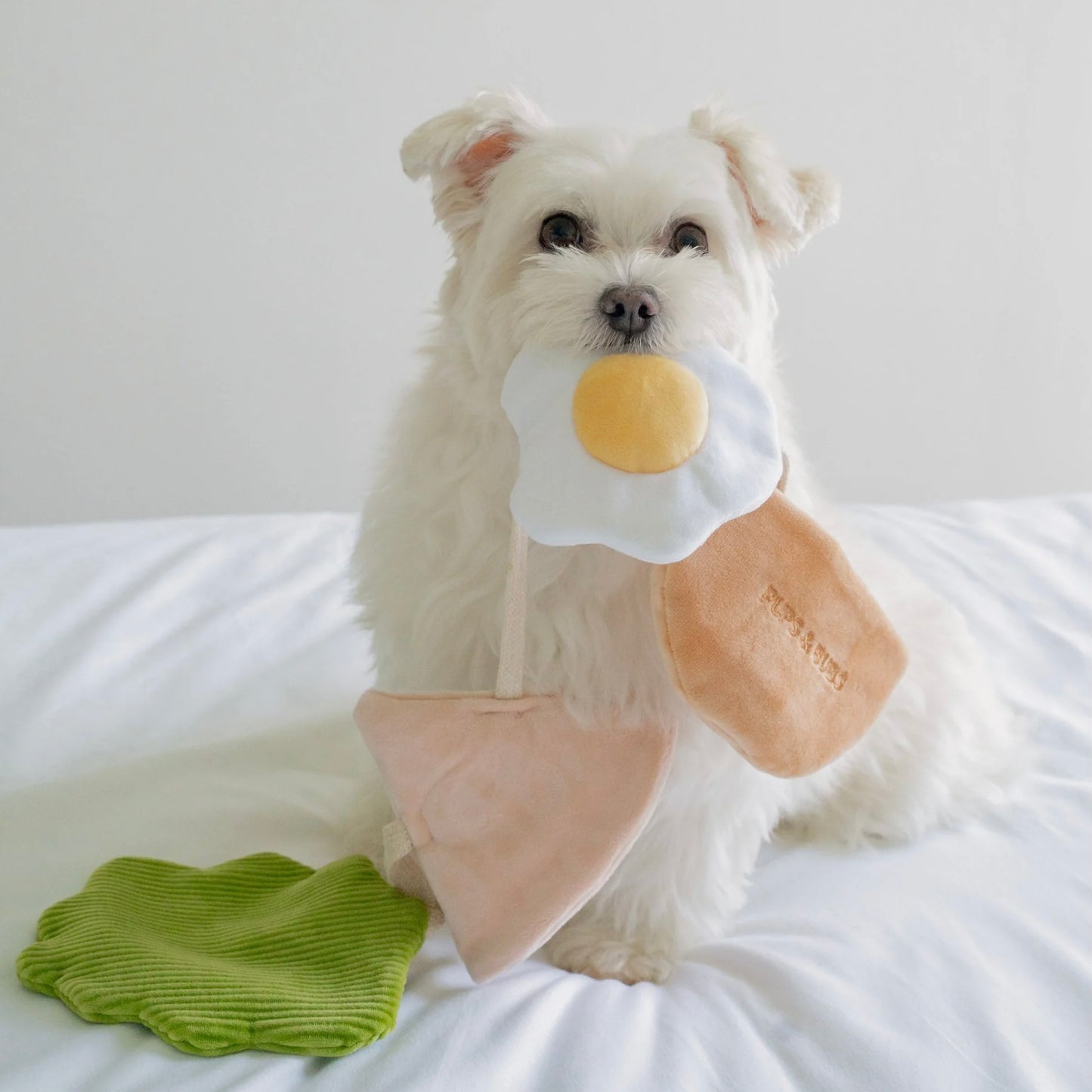 Pita Pocket Nosework Toy