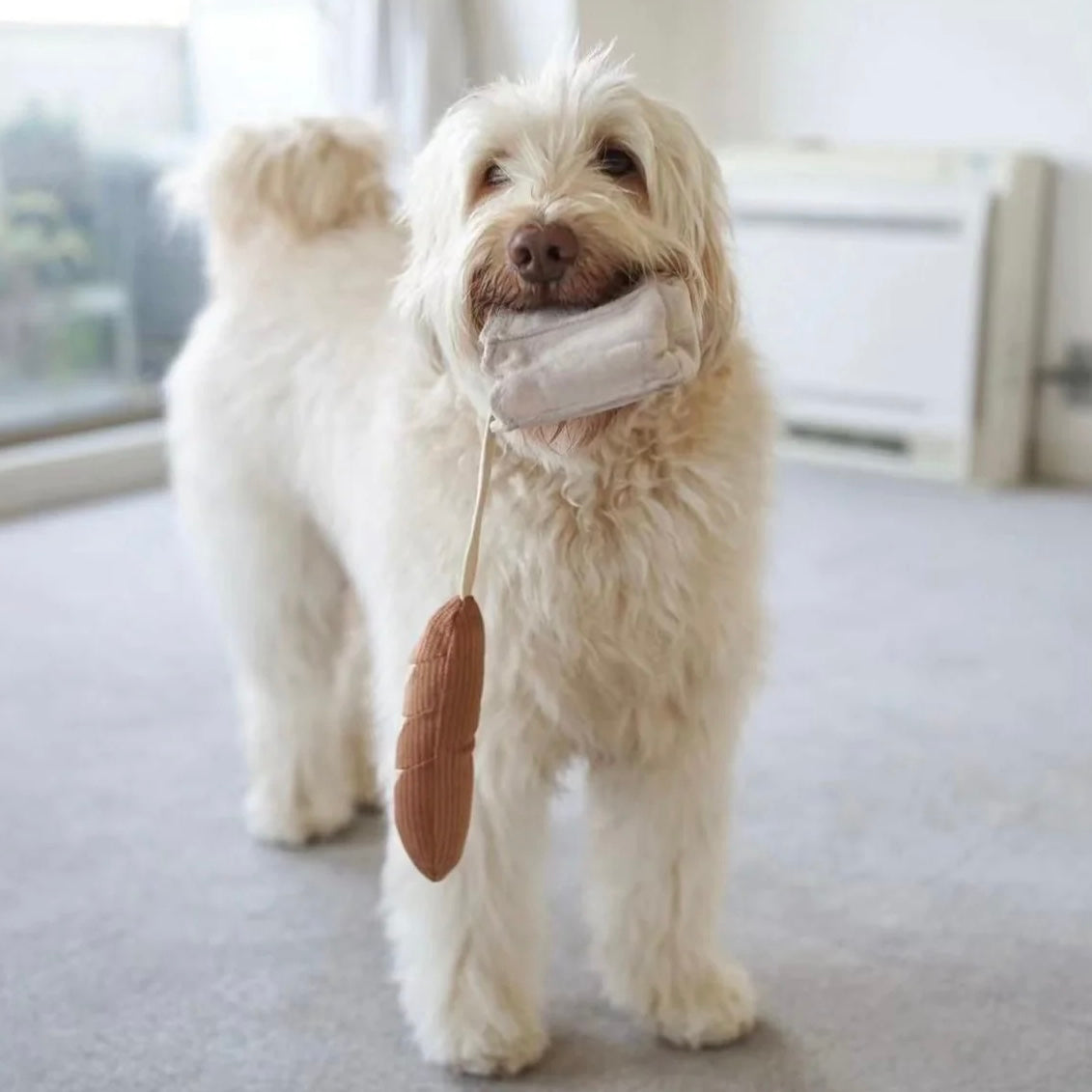 Mini Baguette