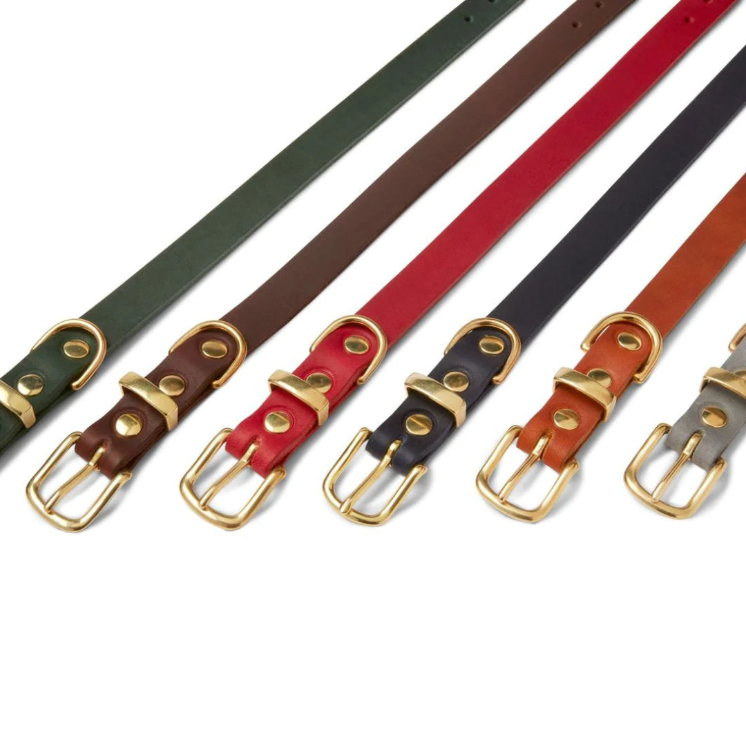 Butter leather dog collar Sahara