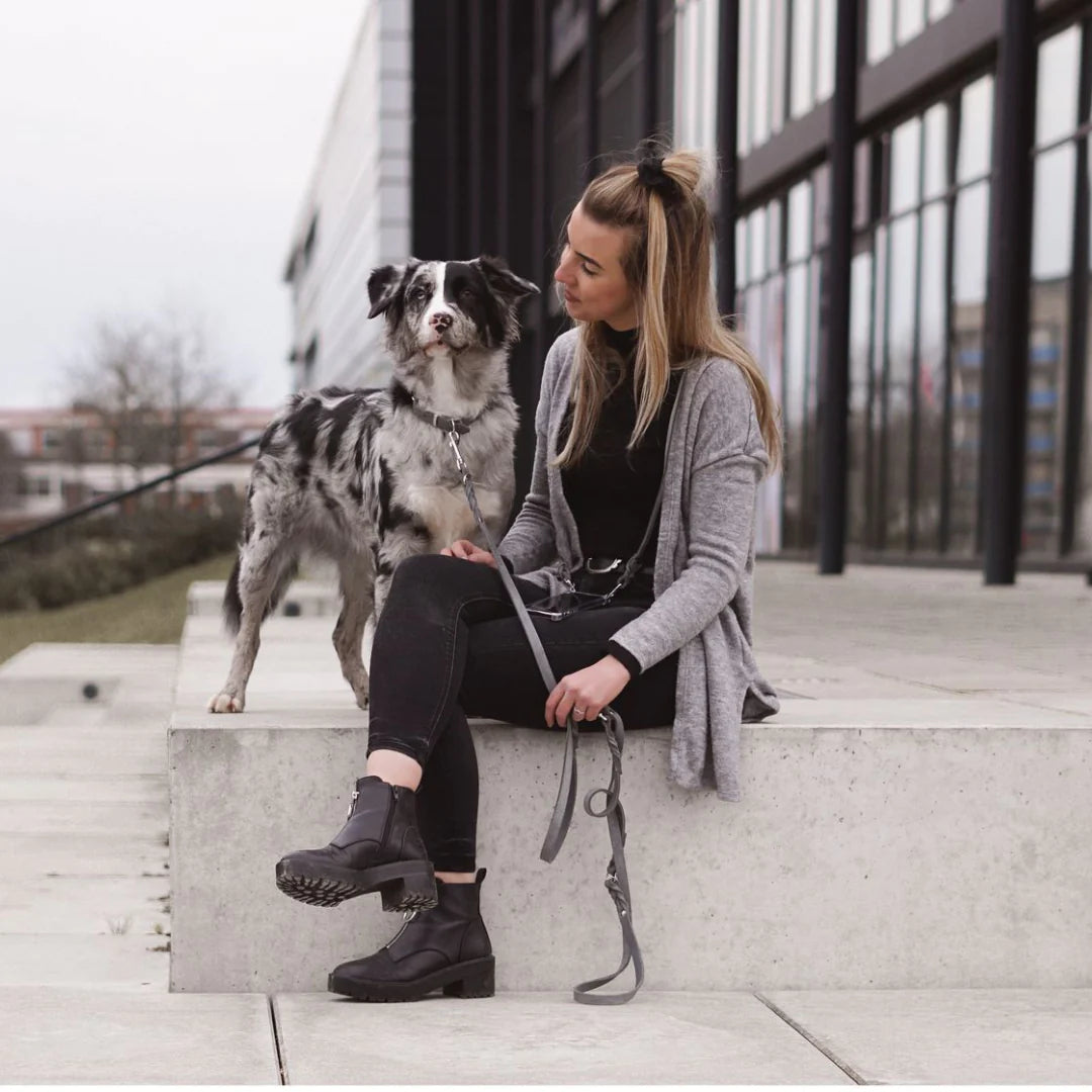 Butter leather dog collar Timeless Grey