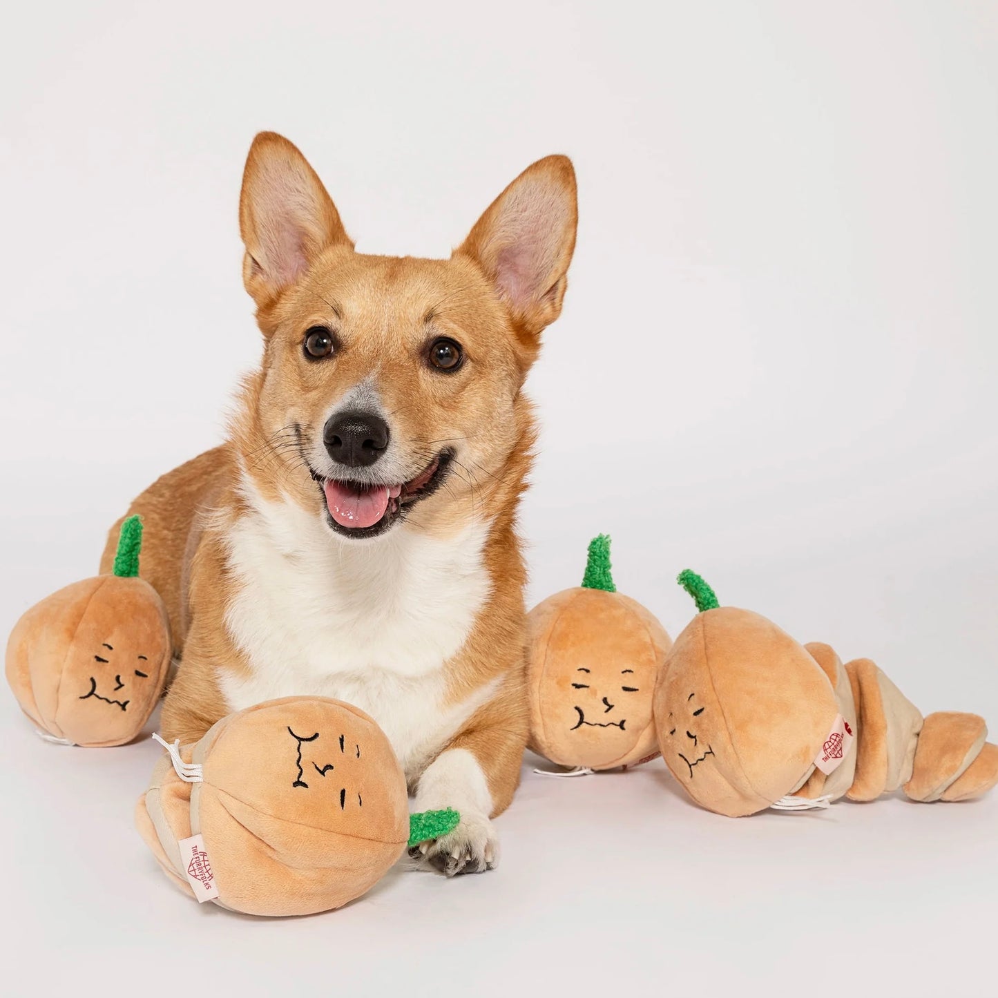 Yellow Onion Nosework Toy