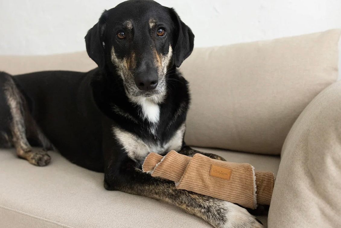 Enrichment Croissant toy