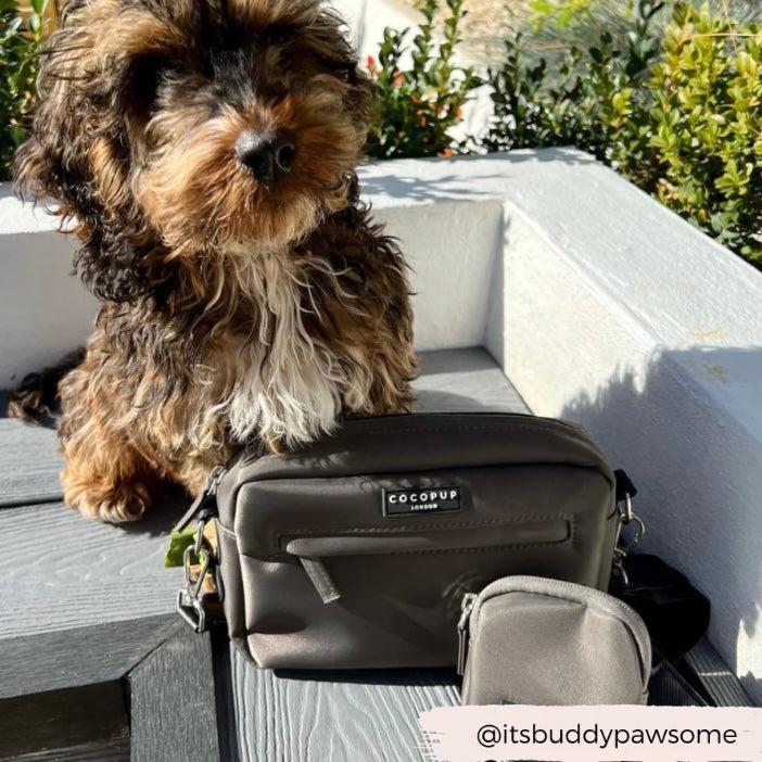 Dog Walking Bag Mocha