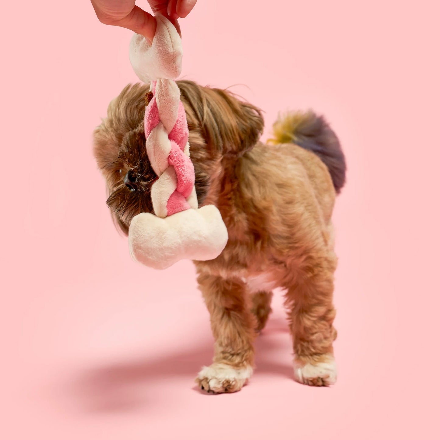 Bone Appétit Nosework Toy