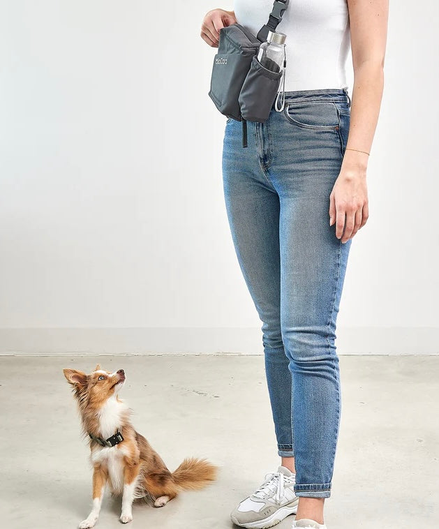 Andiamo Dog walking bag