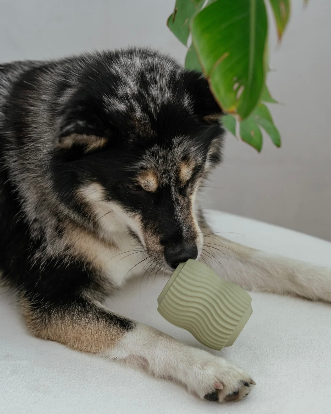 Aggressive Teething Toy & Enrichment Dog Toy Sage Green