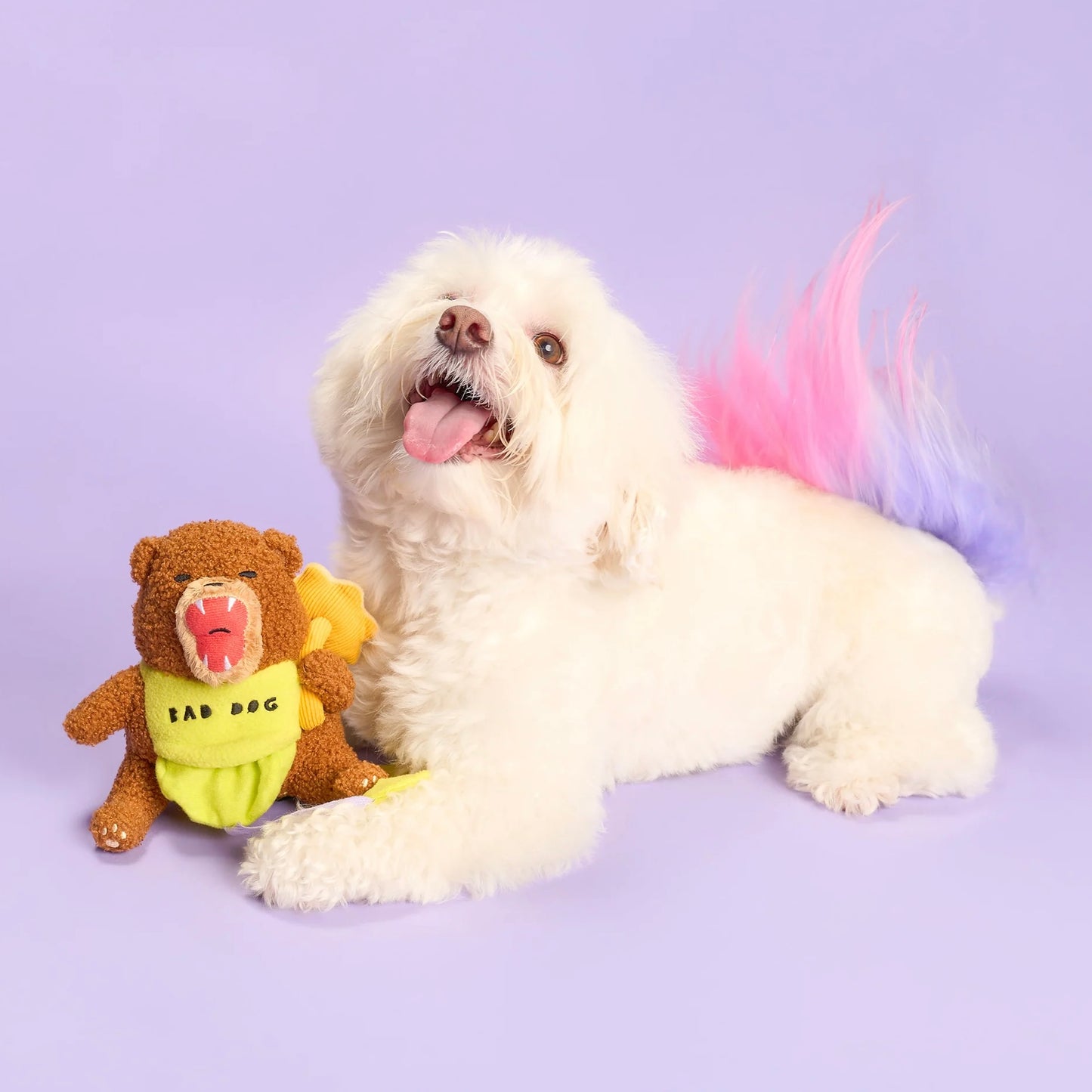 Happy Bear Tofino Nosework Toy