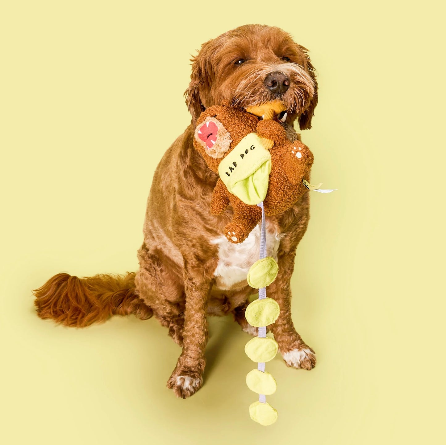 Happy Bear Tofino Nosework Toy