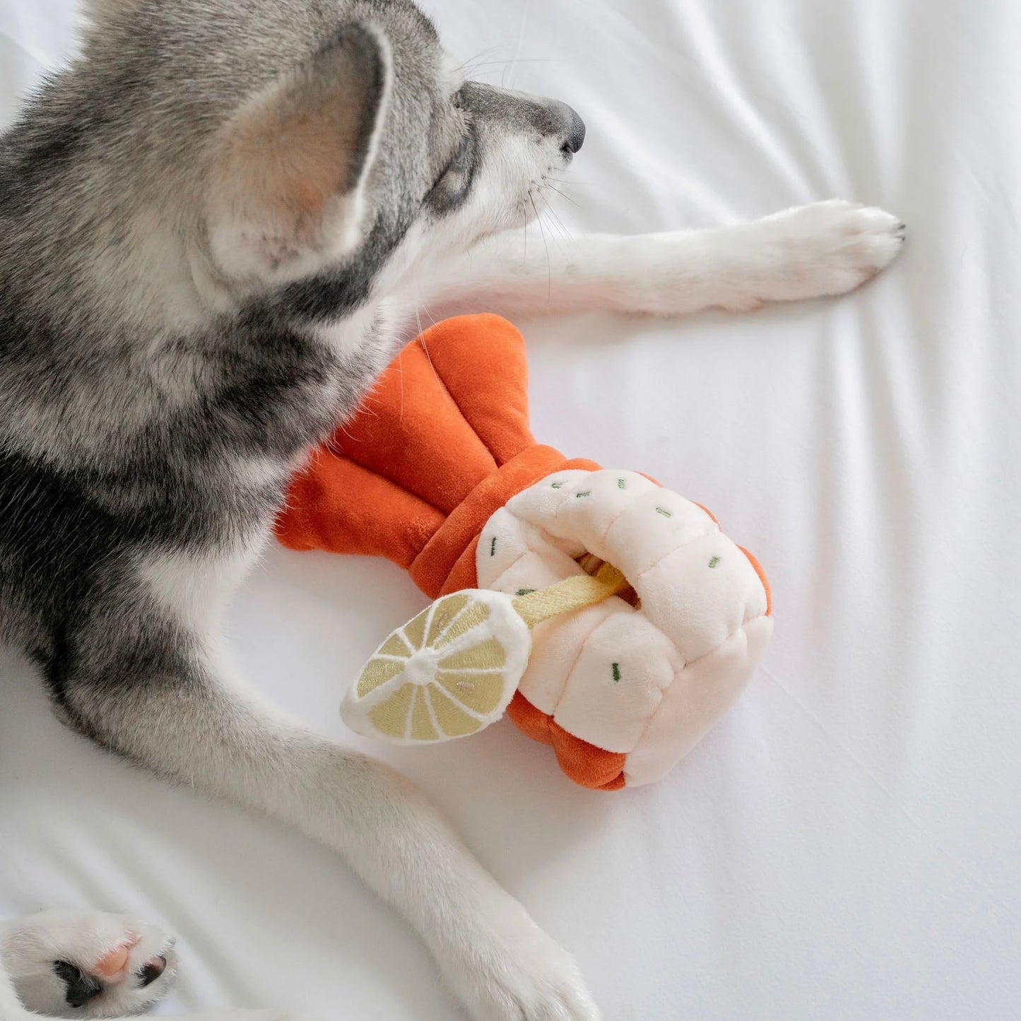 Grilled Lobster Nosework Toy