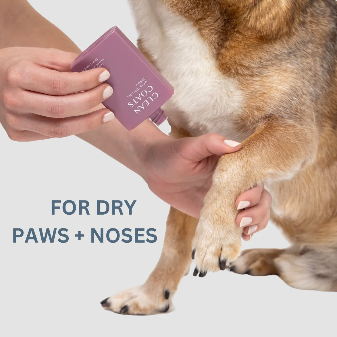 Moisturizing Serum for Paws and Nose