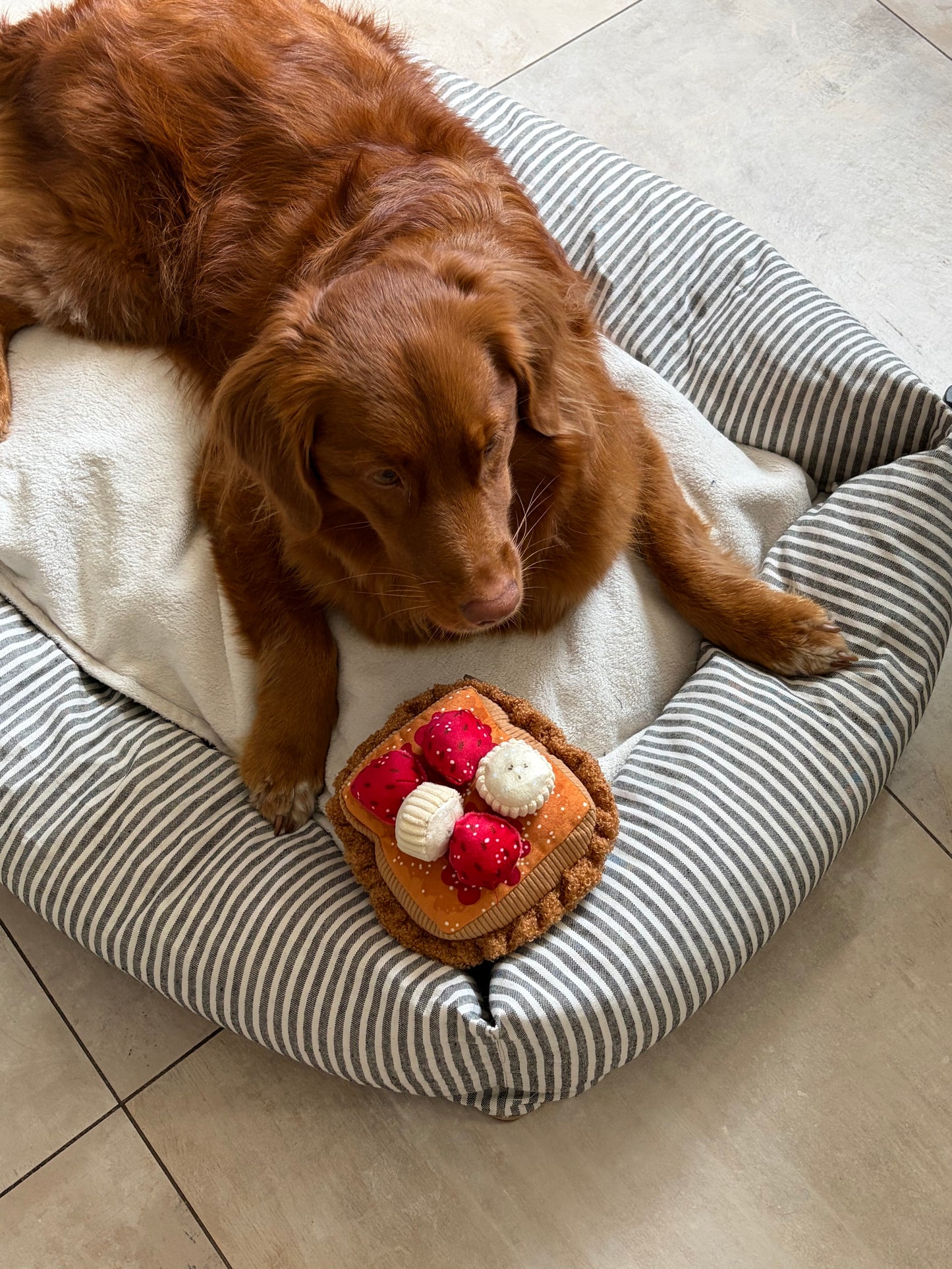 Thick 'N Fluffy French Toast Dog Toy