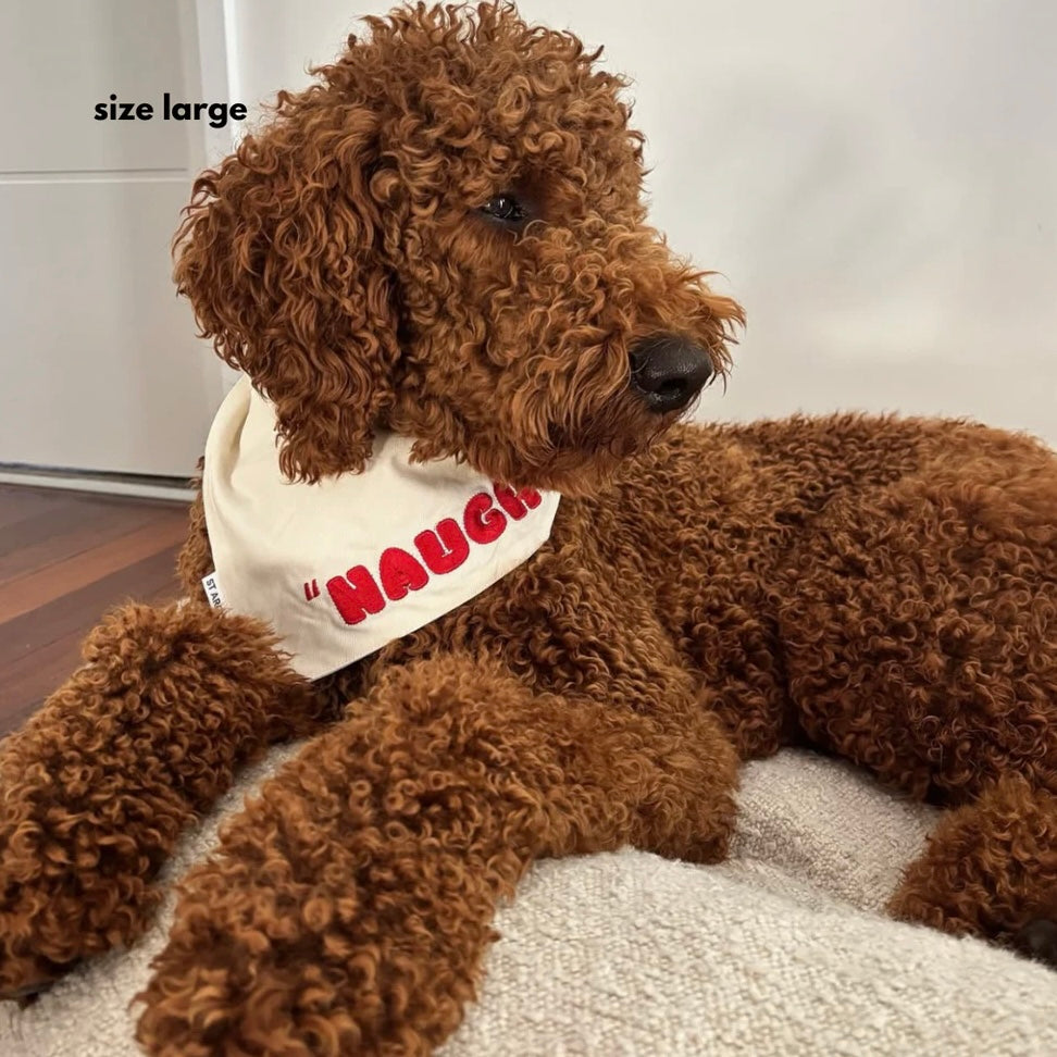 PRE ORDER Christmas dog bandana naughty nice