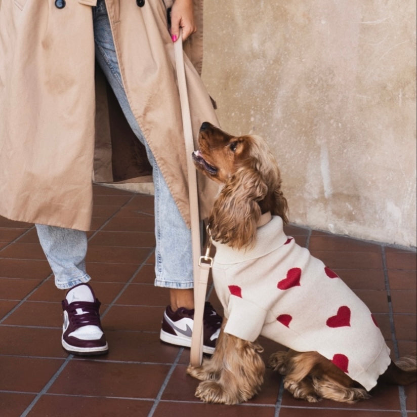 Knitted dog sweater with hearts beige