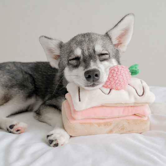 Strawberry Mille-Feuille Nosework Toy