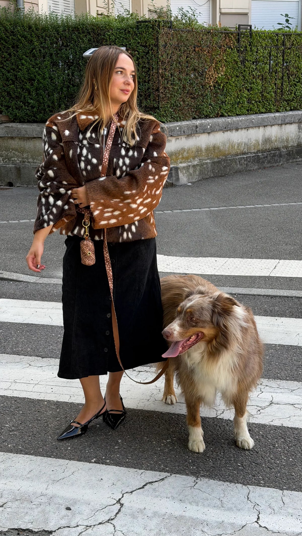 Dog Harness Bambi
