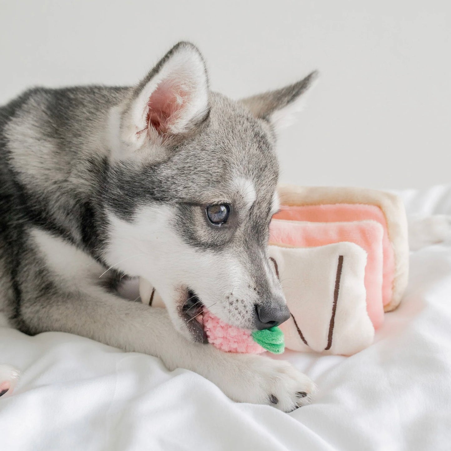 Strawberry Mille-Feuille Nosework Toy