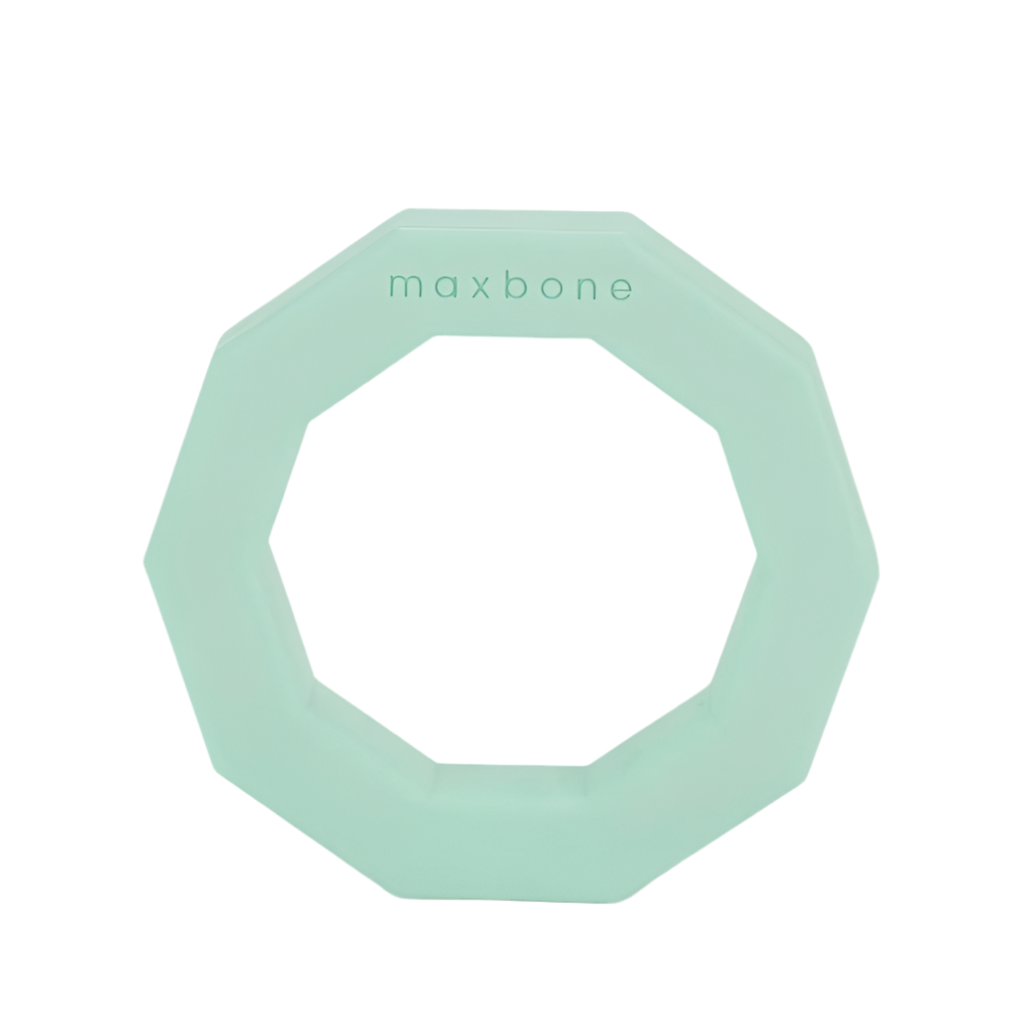 Decagon Rubber dog toy mint
