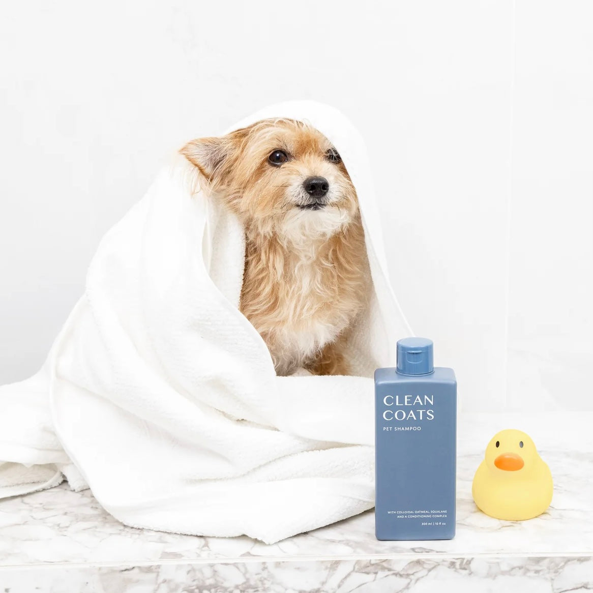 Conditioning Pet Shampoo