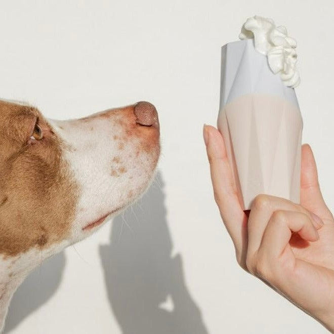 The Ubbe Dog Licking Toy