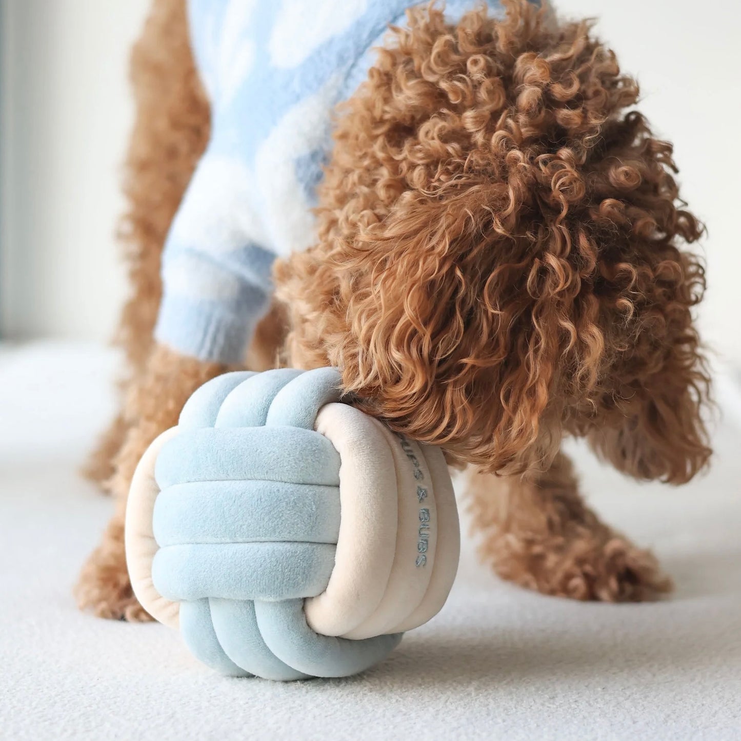 Snuffle Knot Nosework Toy