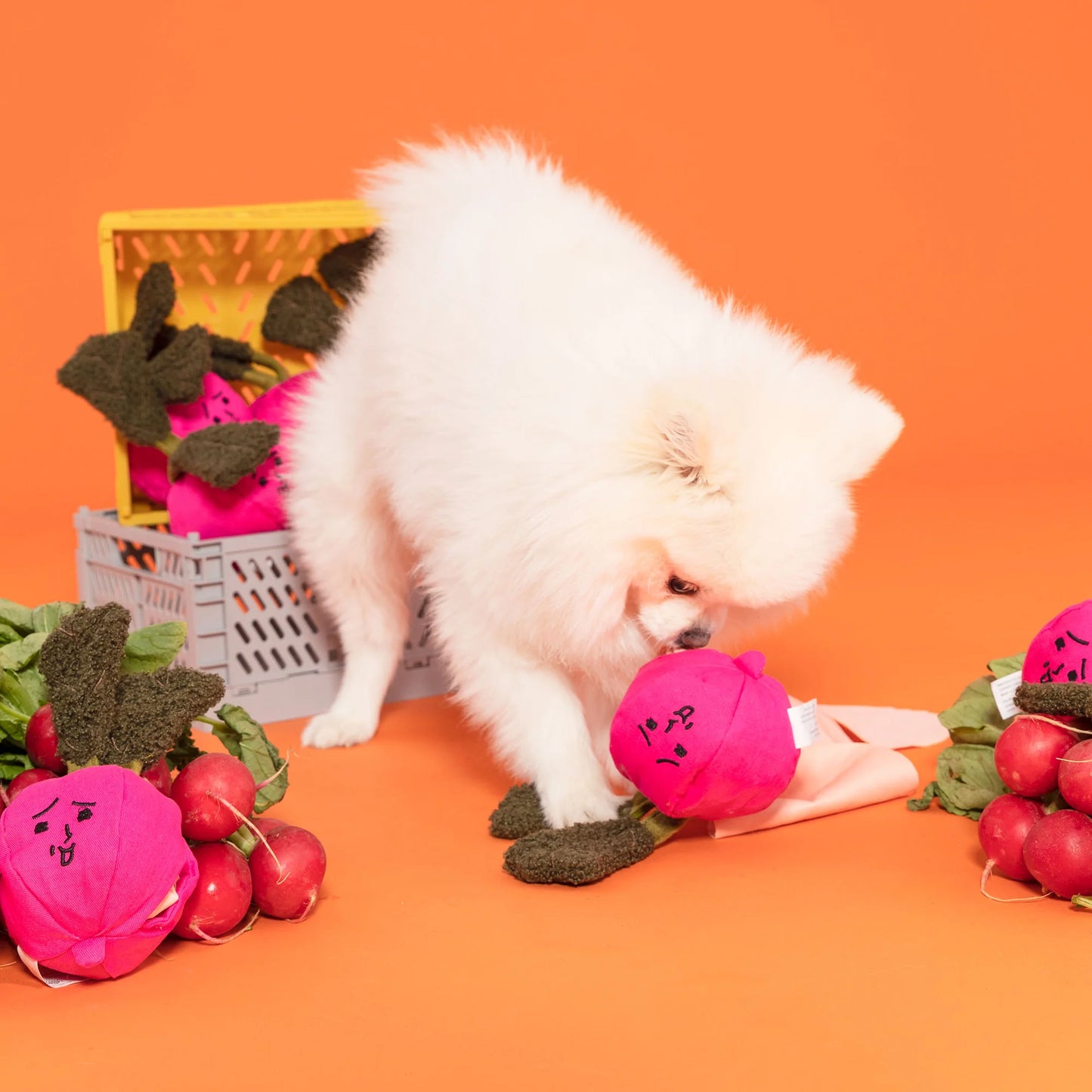 Radish Nosework Toy