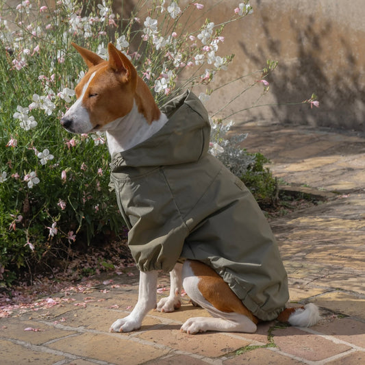 Brooklyn Dog raincoat green