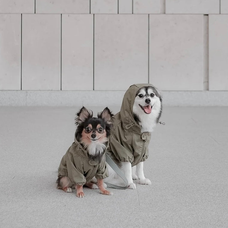 Brooklyn Dog raincoat green