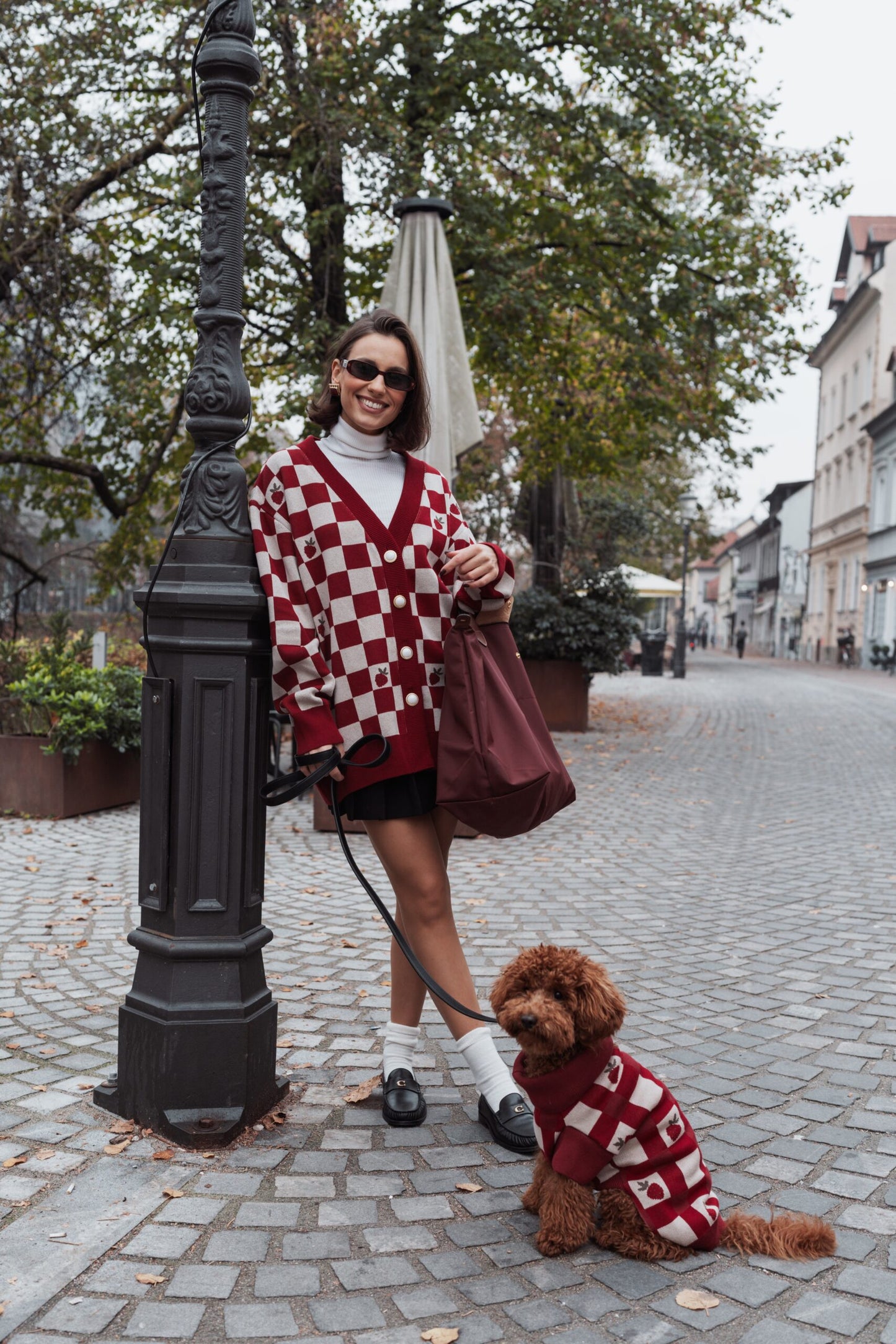 Strawberries cardigan for dogmoms