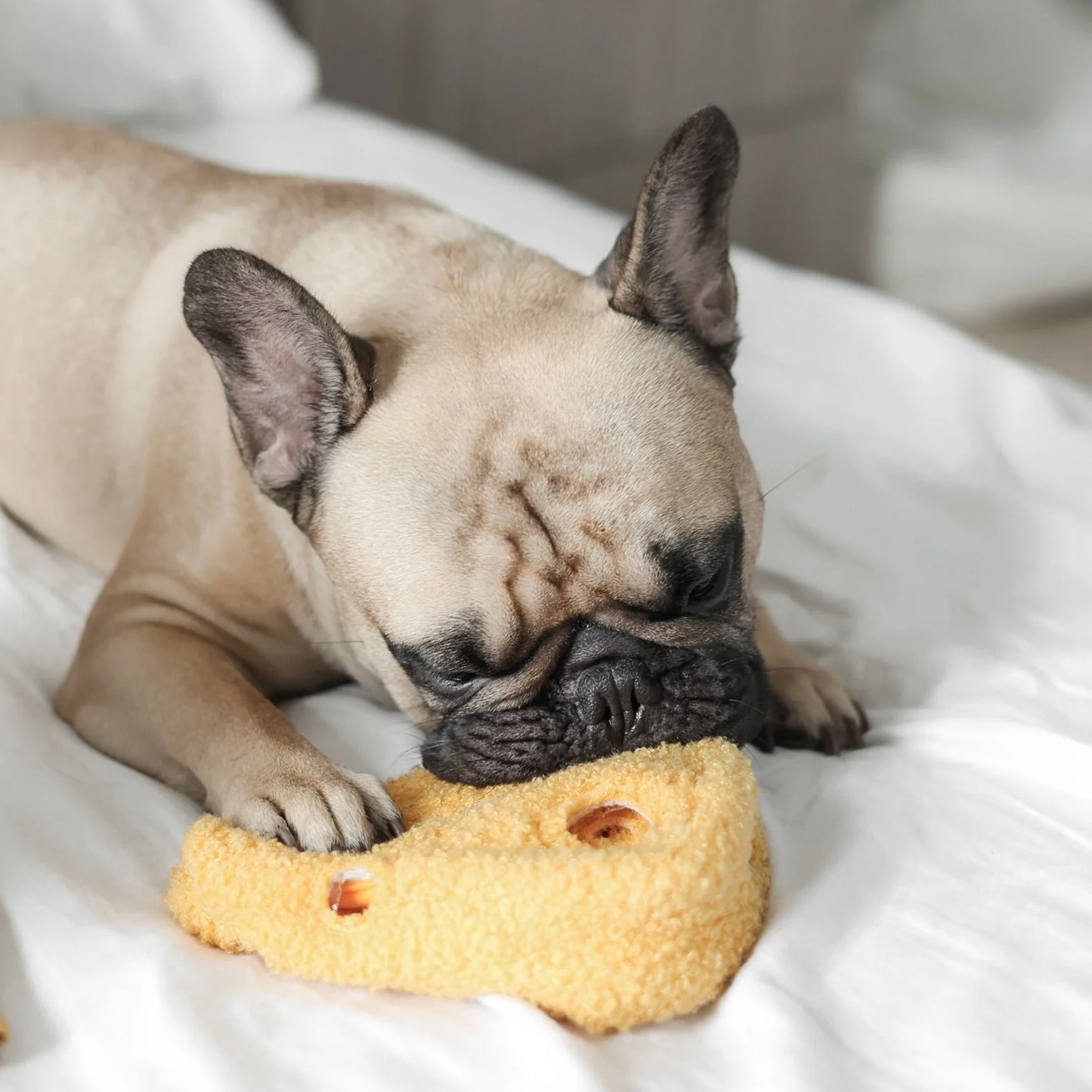 Fromage Snuffle toy