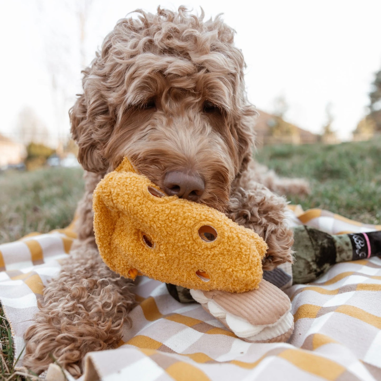 Fromage Snuffle toy