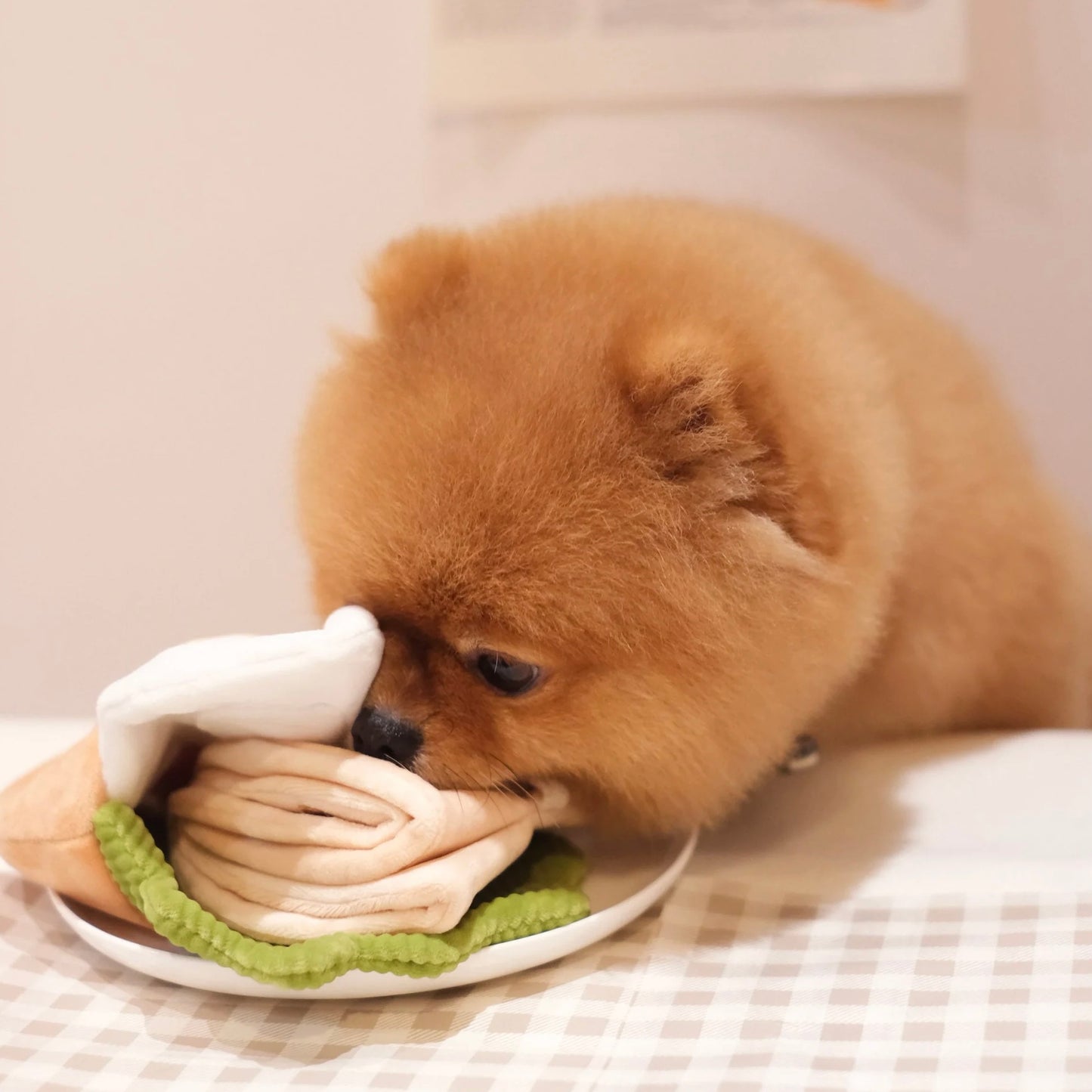 Pita Pocket Nosework Toy