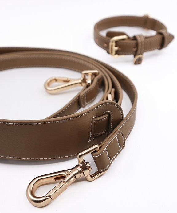 Set of Collar & Leash Golden Hour