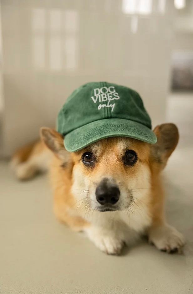 DOG VIBES ONLY CAP VINTAGE GREEN