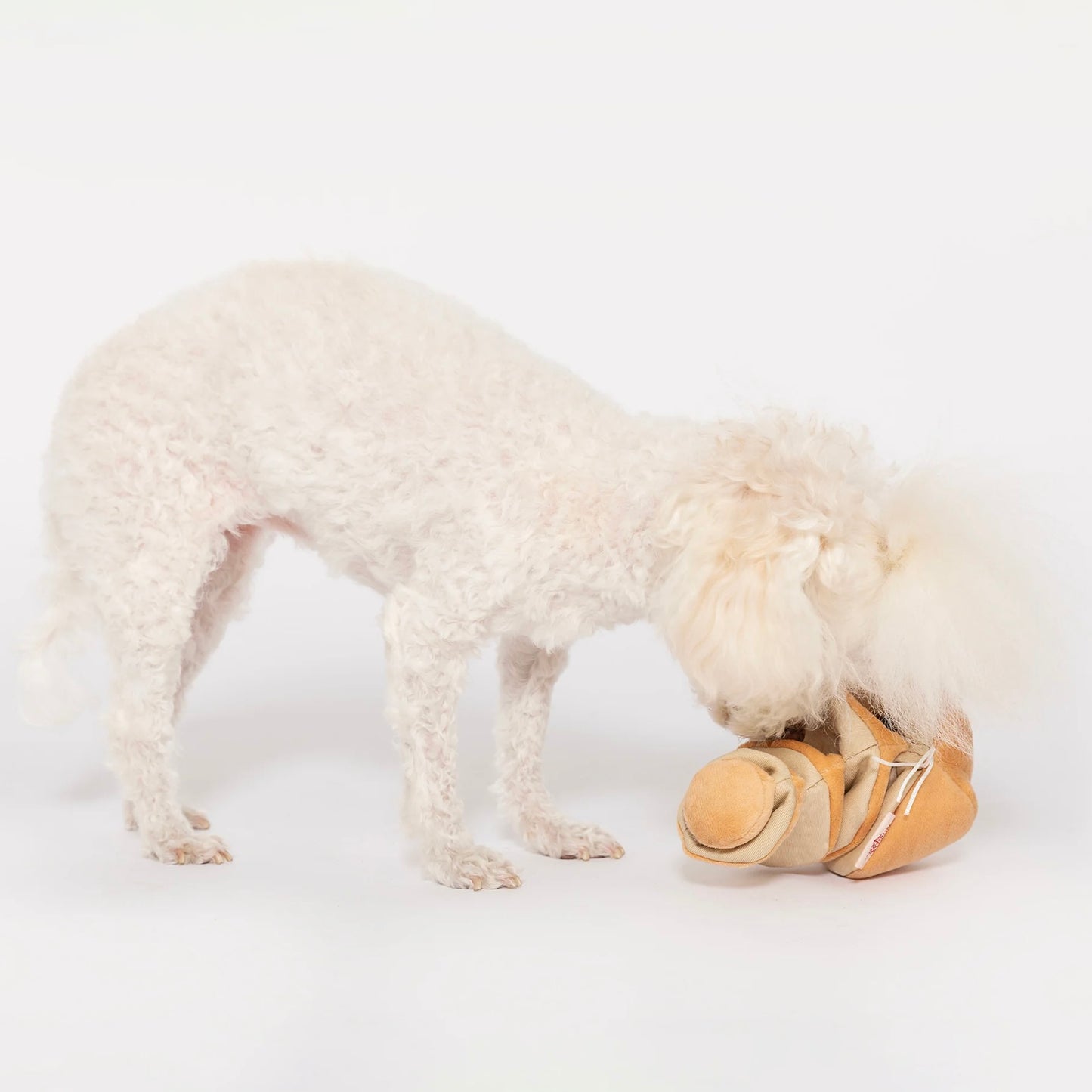 Yellow Onion Nosework Toy