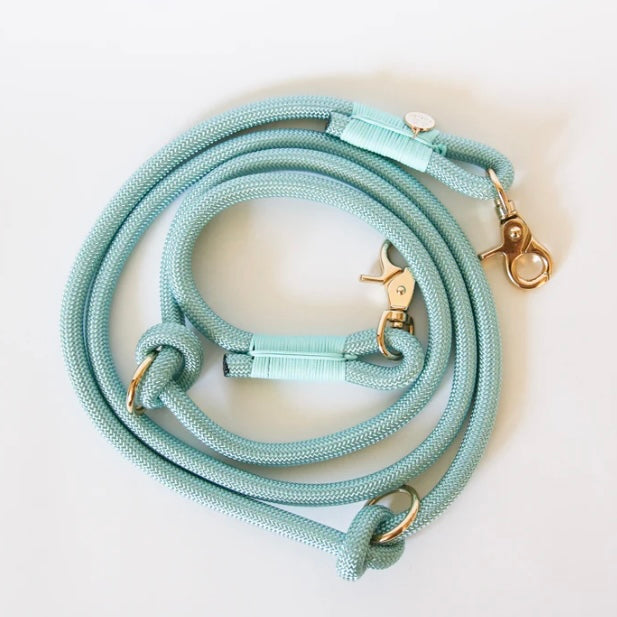 Hands Free Braided Leash Aqua