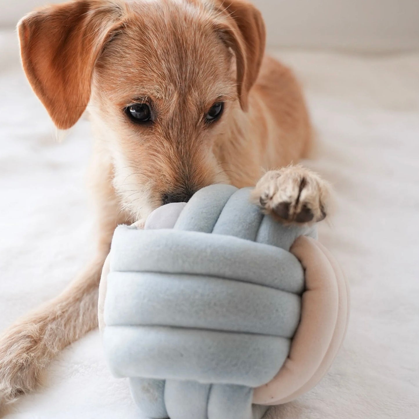 Snuffle Knot Nosework Toy