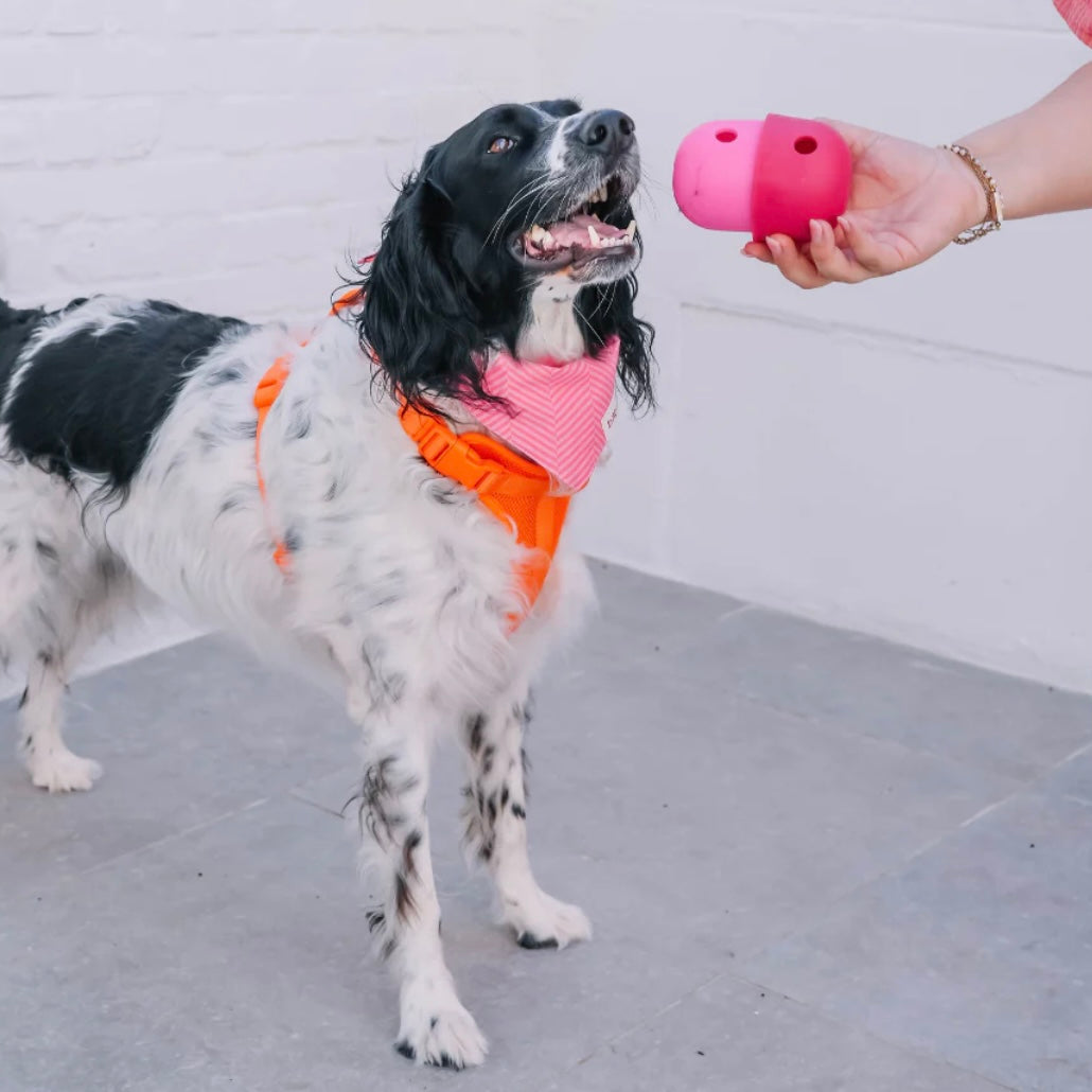 The Fun Feeder Treat Dispenser